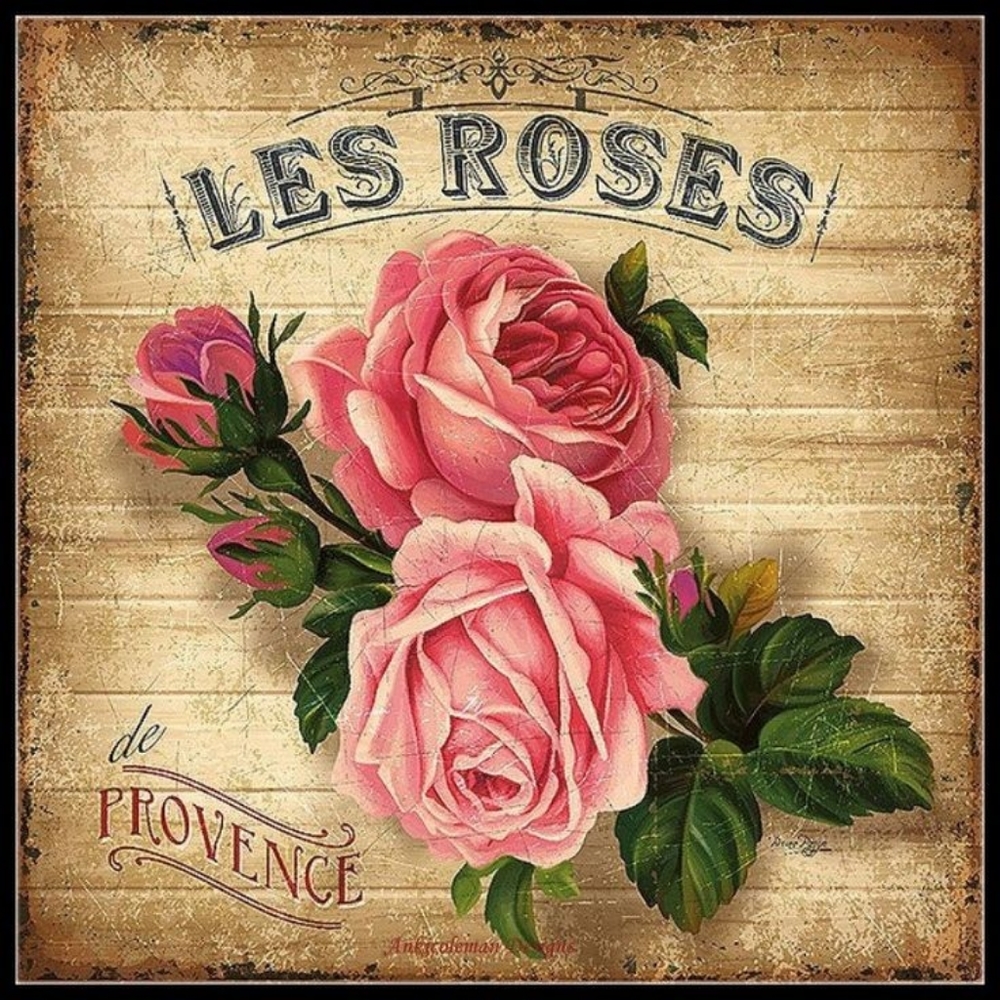 Meet your Posher, Angie